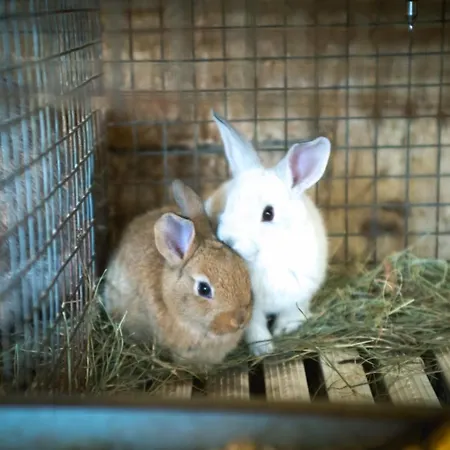 Terra E Cielo Serra Rocco