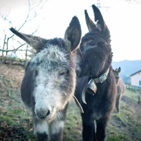 Alojamento de Turismo Rural Terra E Cielo